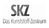 Logo: SKZ-KFE gGmbH