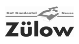 Logo: ZÜLOW Elektronik GmbH
